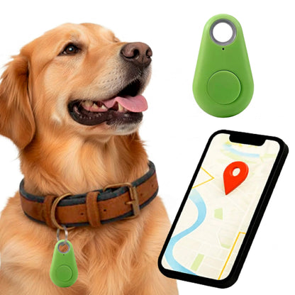 Wigo GPS Tracker dla Kota | Wodoodporny, Śledzenie w Czasie Rzeczywistym 10