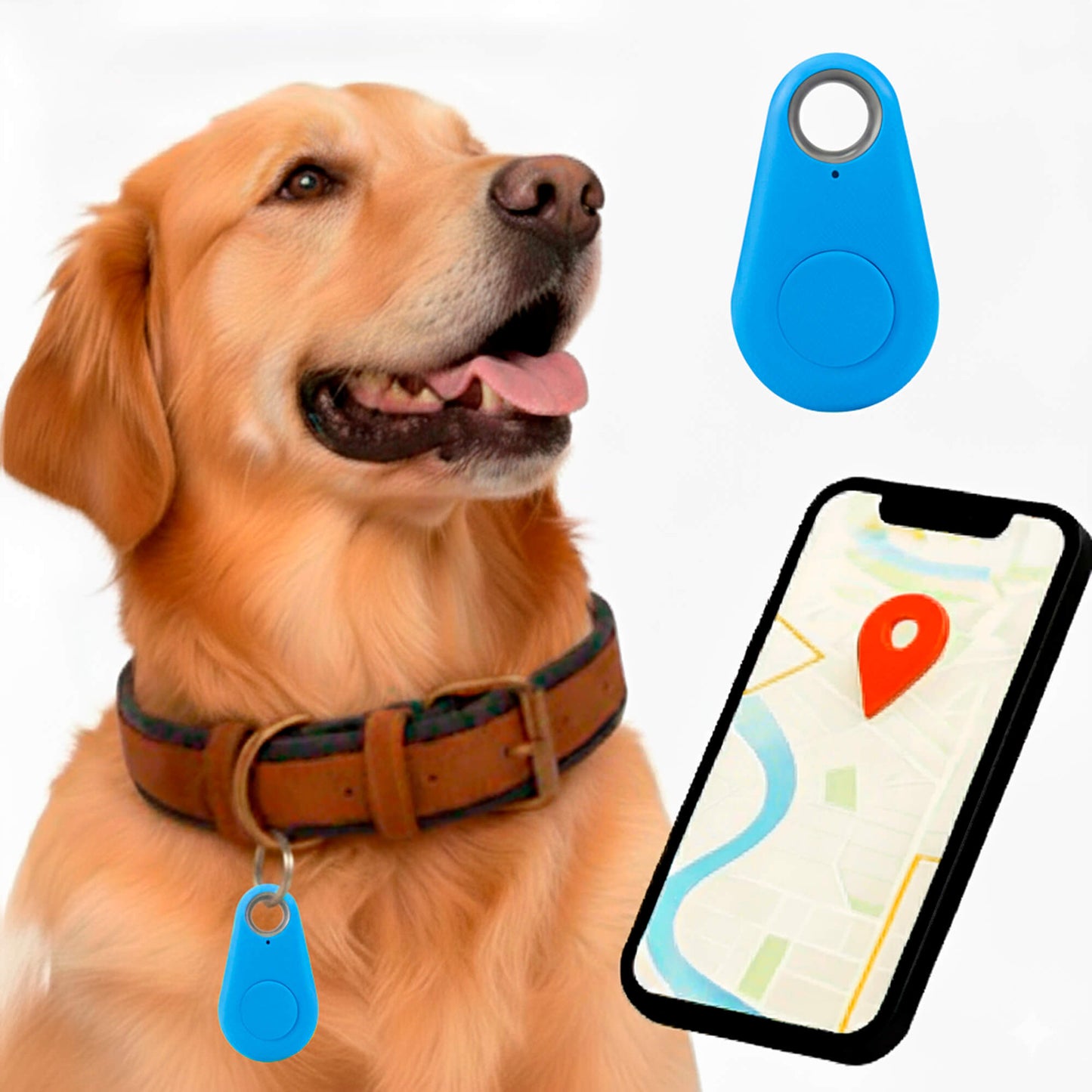 Wigo GPS Tracker dla Kota | Wodoodporny, Śledzenie w Czasie Rzeczywistym 11