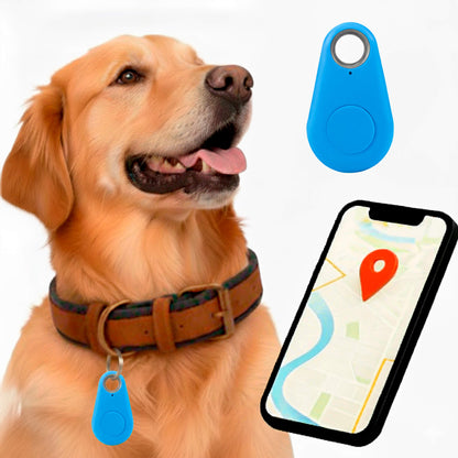 Wigo GPS Tracker dla Kota | Wodoodporny, Śledzenie w Czasie Rzeczywistym 11