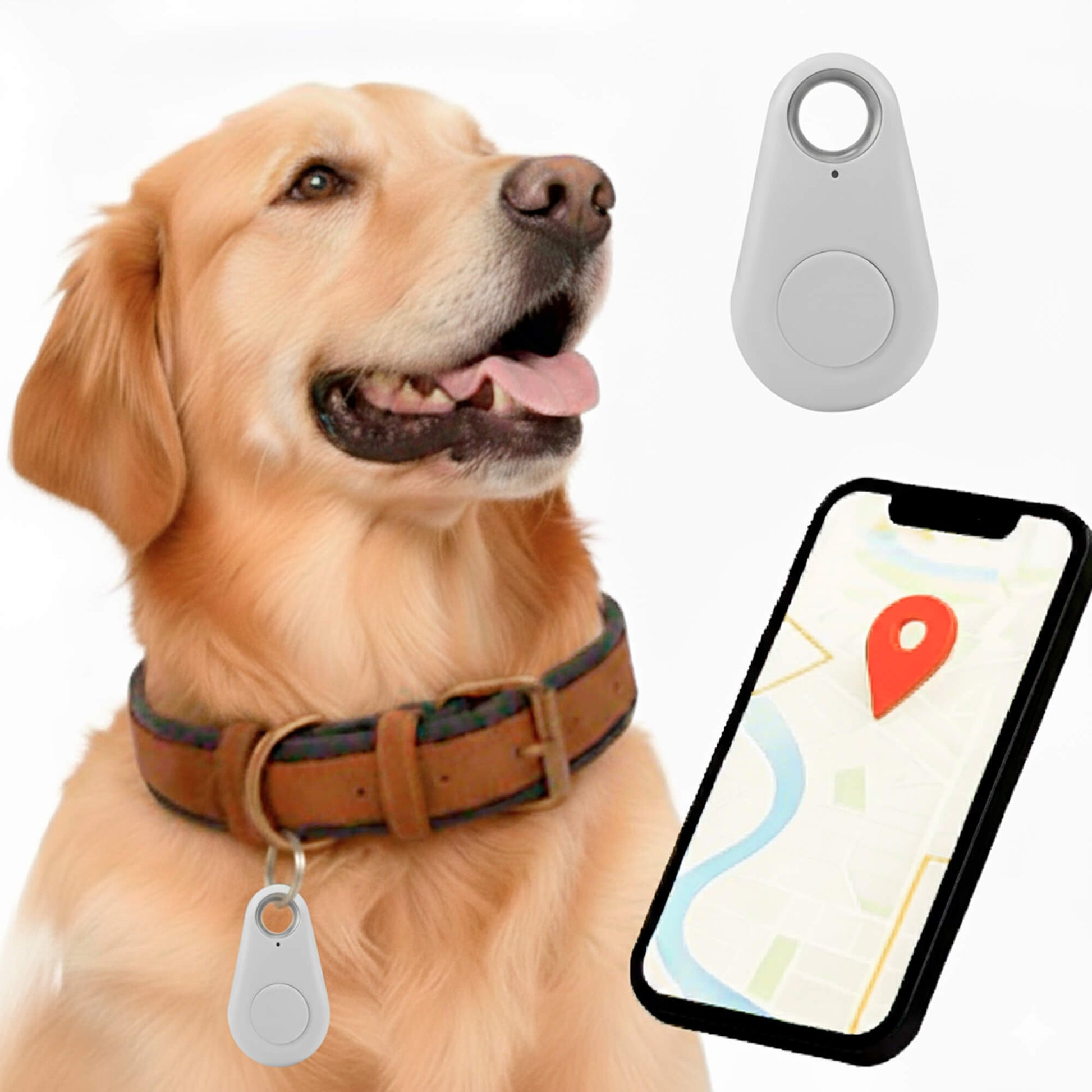 Wigo GPS Tracker dla Kota | Wodoodporny, Śledzenie w Czasie Rzeczywistym 9
