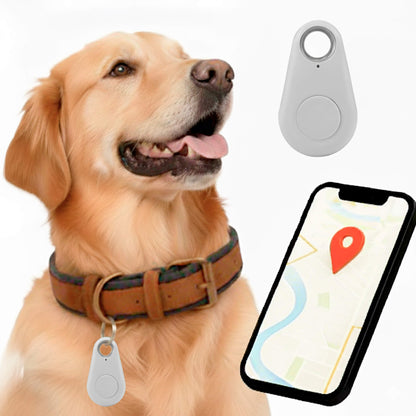 Wigo GPS Tracker dla Kota | Wodoodporny, Śledzenie w Czasie Rzeczywistym 9